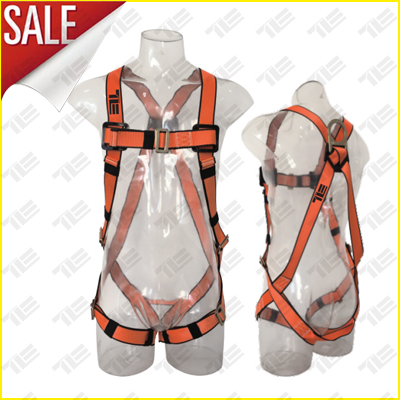 TE5134 SAFETY HARNESS