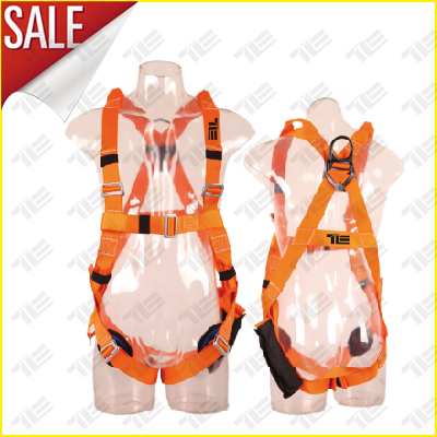 TE5113A FULL BODY SAFETY HARNESS